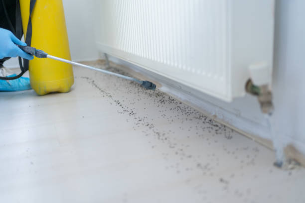 Trusted Gary, IN Pest Control Experts