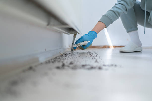 Best Emergency Pest Control  in Gary, IN